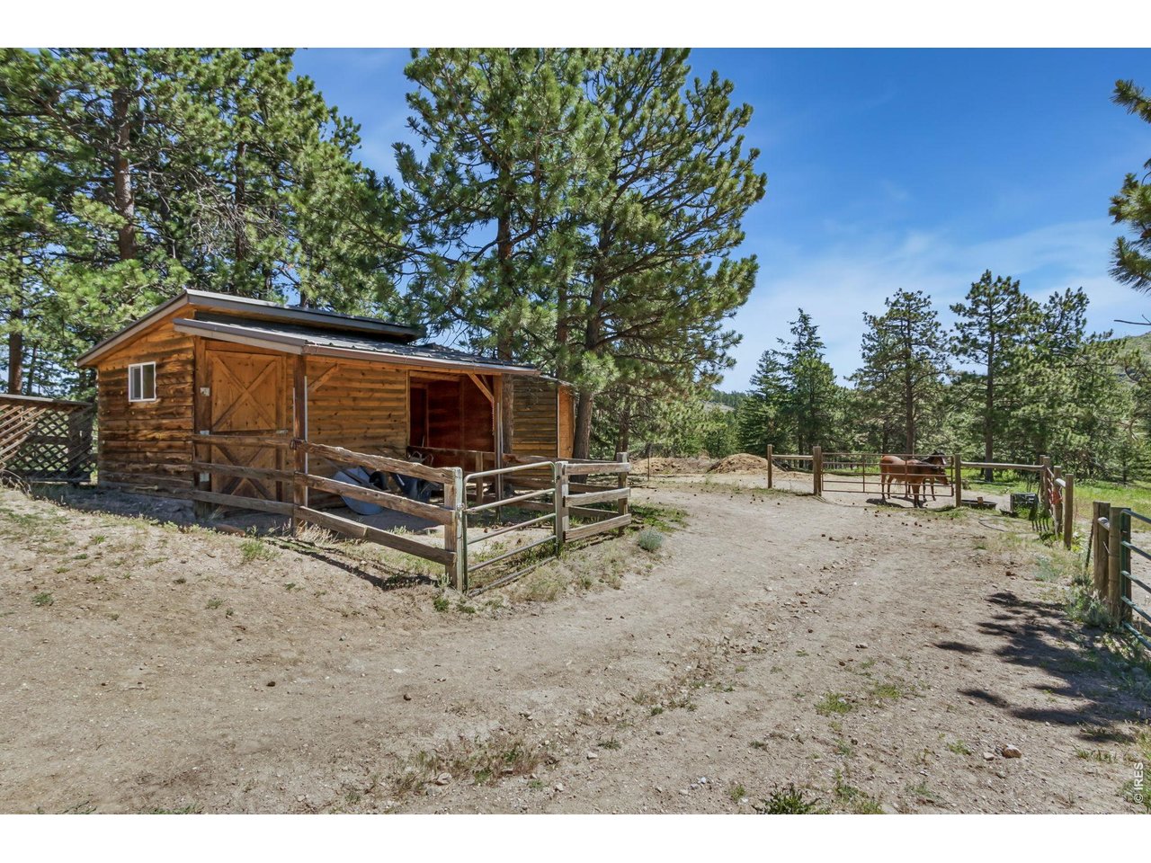12592 Rist Canyon Road Bellvue, CO 80512 - Photo 31 of 50 Loafing/Storage Shed