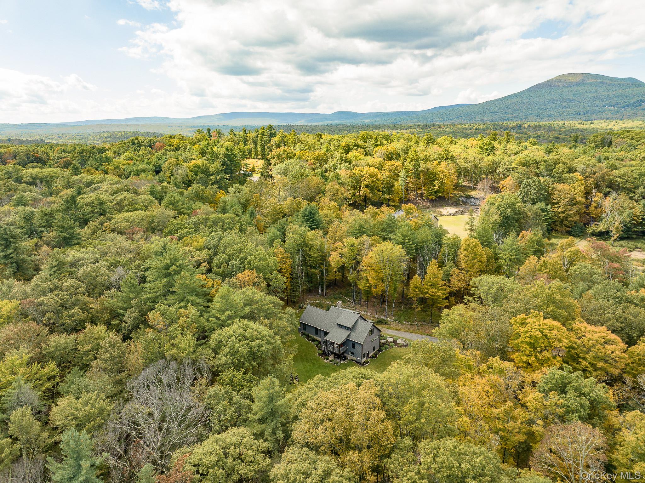 483 Acorn Hill Road Olivebridge, NY 12461 - Photo 44 of 50 Aerial view of a forest and a mountain backdrop
