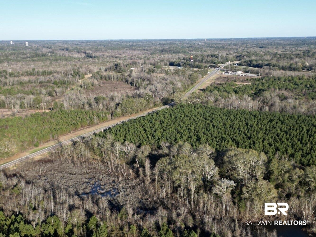 0 Highway 84 Evergreen, AL 36401 - Photo 6 of 50