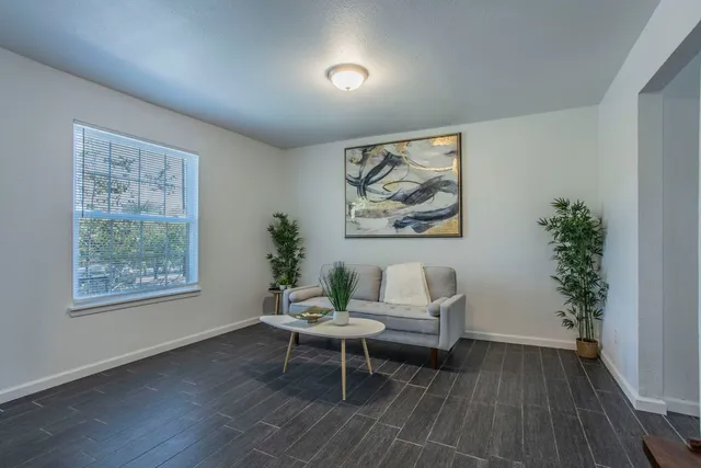a living room with furniture and a potted plant