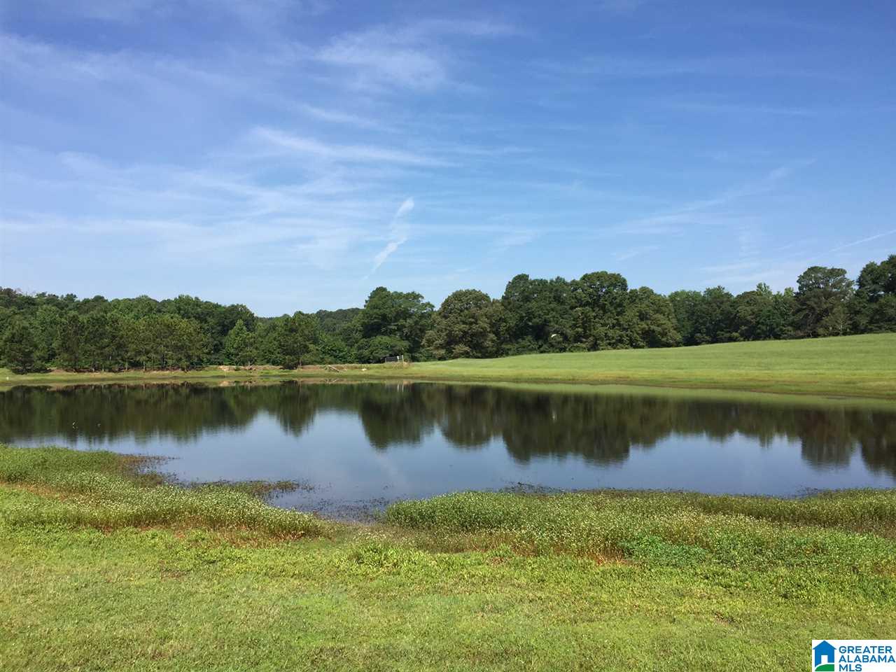 366 Parker Road Cropwell, AL 35054 - Photo 6 of 46