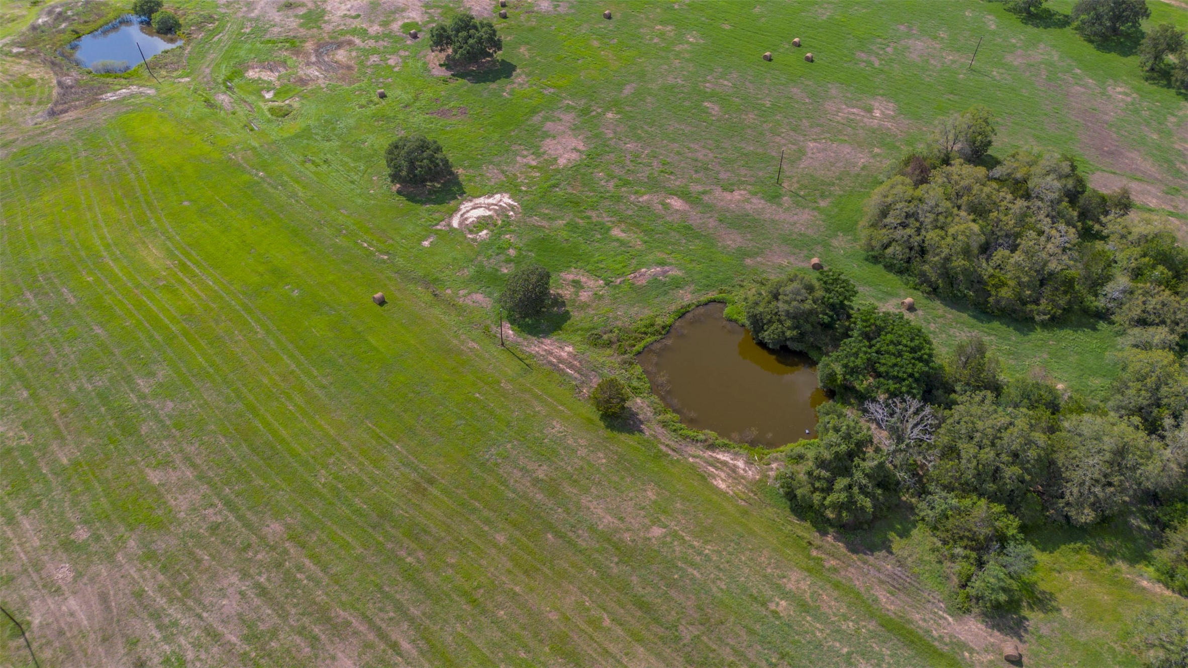 Tbd Tbd Davis Road La Grange, TX 78945 - Photo 3 of 5 a view of a garden