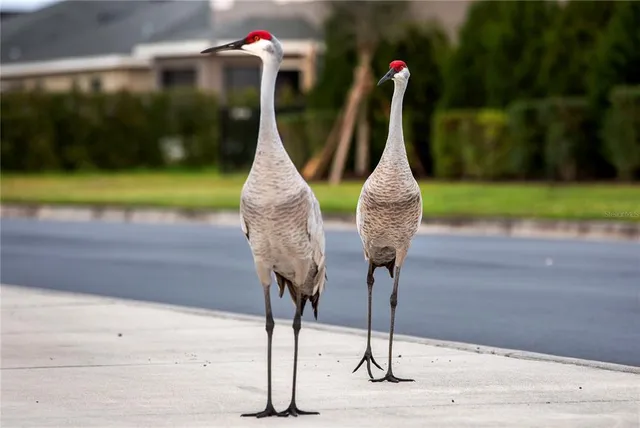 $378,578 | 7006 162nd Place East, Parrish, FL 34219