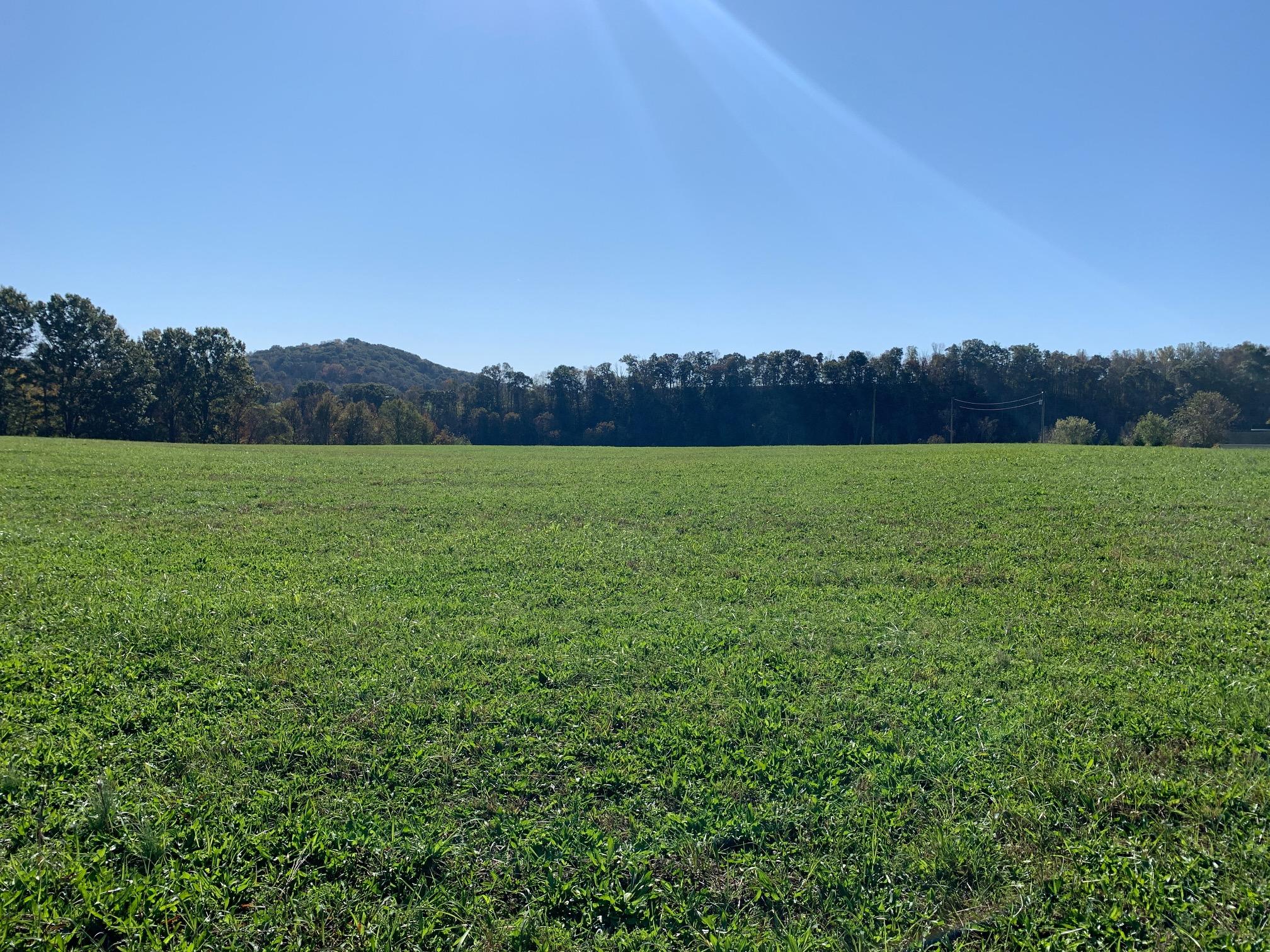 0 Holston Acres Rutledge, TN 37861 - Photo 1 of 8 IMG_2417