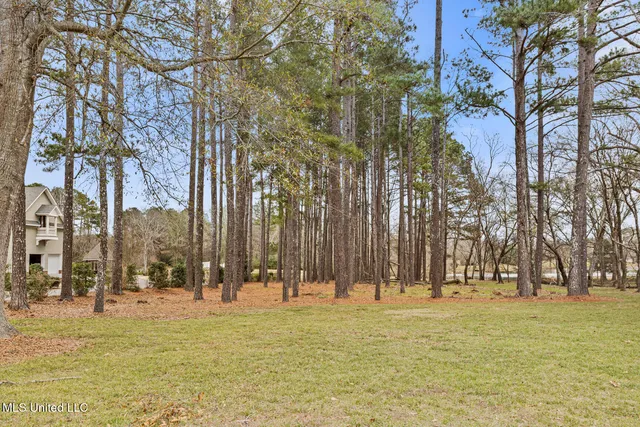 $925,000 | 122 Old Orchard Road, Madison, MS 39110
