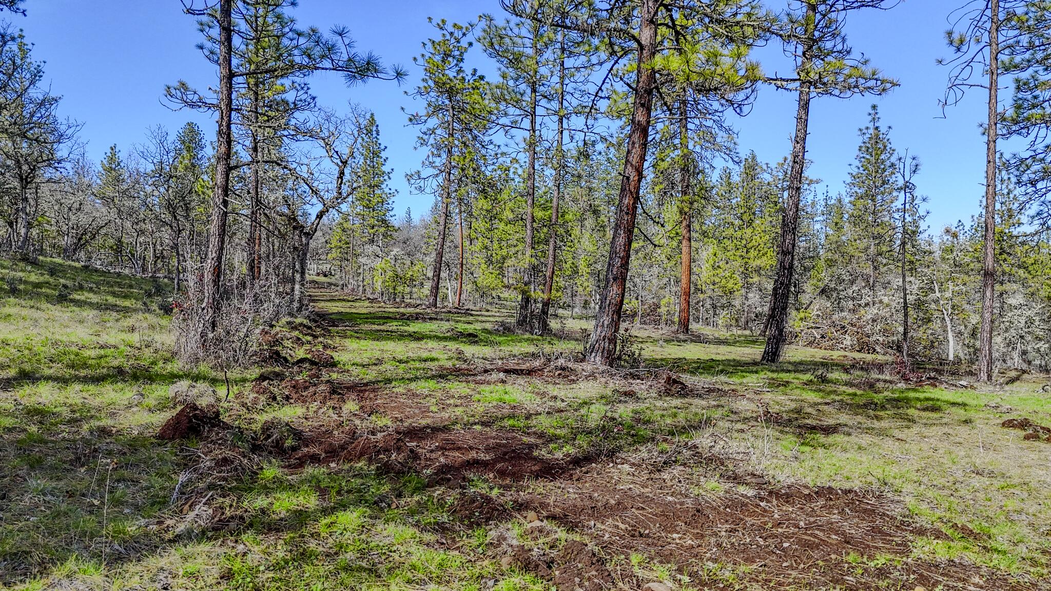 506 Greenleaf Drive Eagle Point, OR 97524 - Photo 36 of 38 DJI_20260227141727_0592_D-HDR