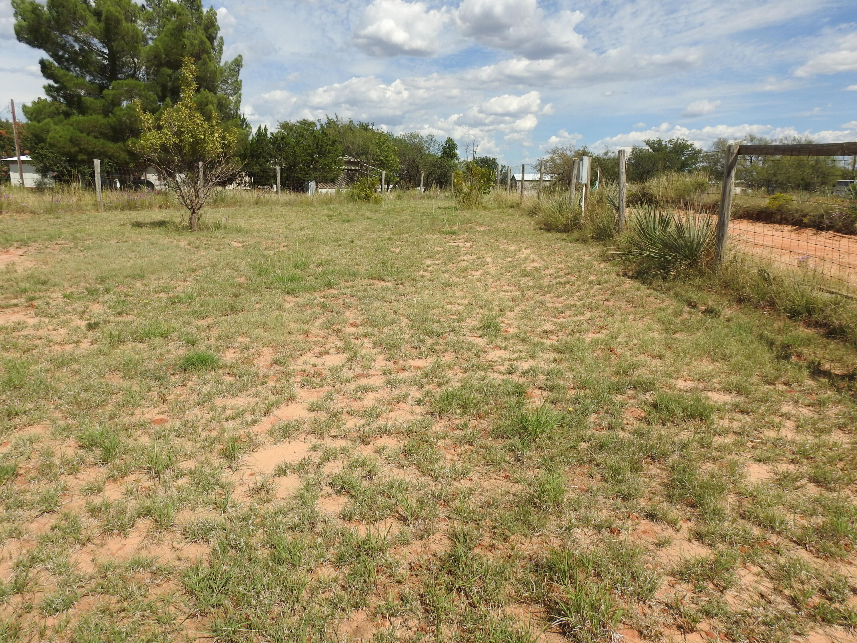 35 Rangeview Road Spur, TX 79370 - Photo 31 of 36 a view of a field with an trees