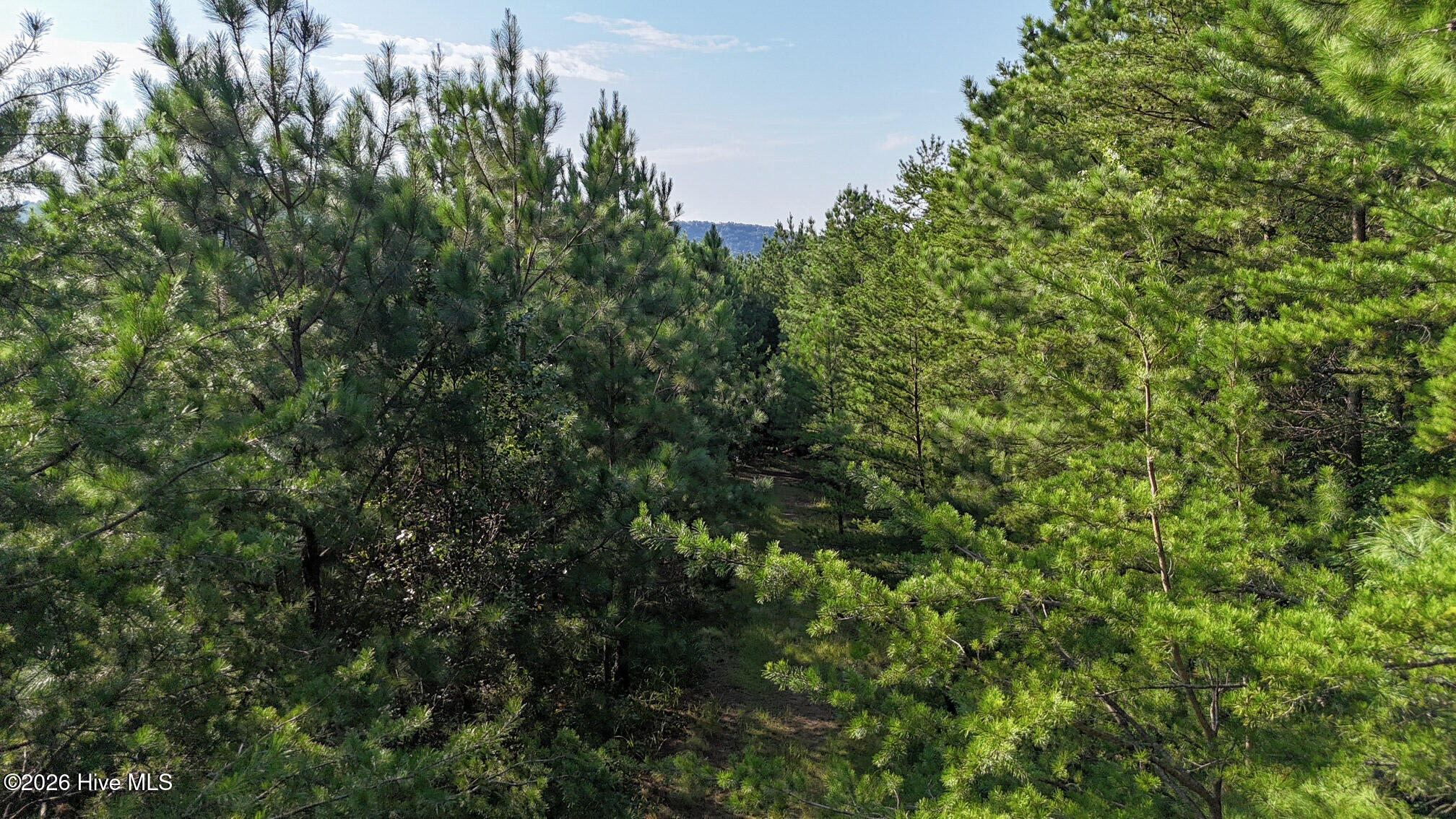 3 Dasali Way Murphy, NC 28906 - Photo 16 of 19 Gallery Image 16