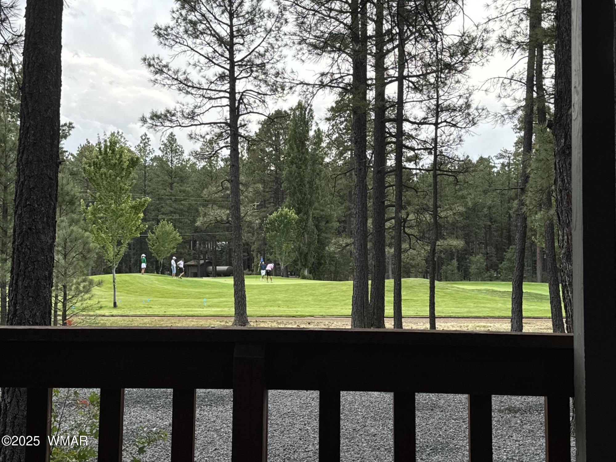 7451 Buck Springs Road Pinetop, AZ 85935 - Photo 24 of 36