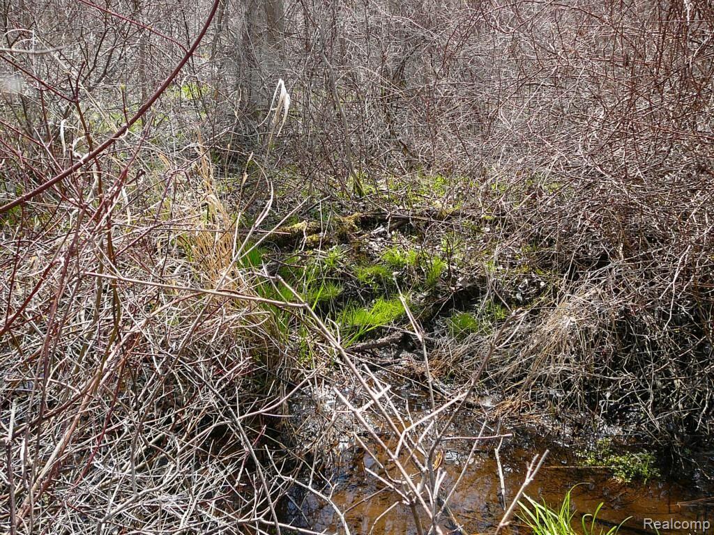 0 Brimley Road West Webberville, MI 48892 - Photo 12 of 36 2015-04-26 12.05