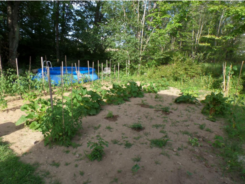 20 Youngs Hill Road Loudon, NH 03307 - Photo 11 of 36 Gallery Image 11
