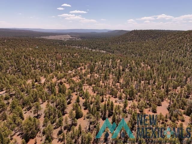 Tbd Tbd Little Arrow Road Grants, NM 87020 - Photo 44 of 69