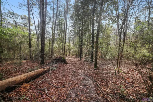 $75,000 | 66042 Highway 1058, Roseland, LA 70456
