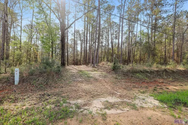 $75,000 | 66042 Highway 1058, Roseland, LA 70456