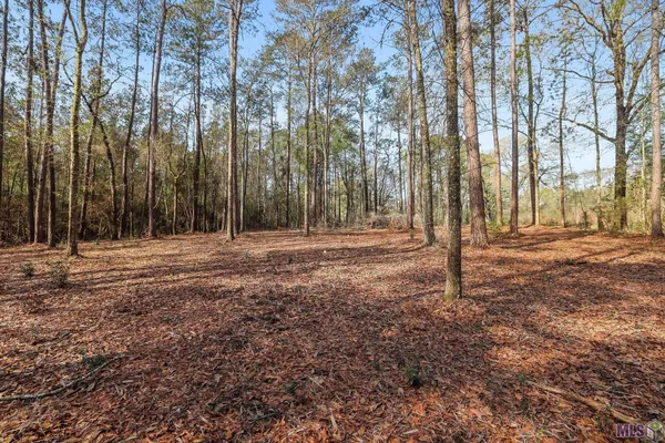 $75,000 | 66042 Highway 1058, Roseland, LA 70456