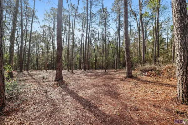 $75,000 | 66042 Highway 1058, Roseland, LA 70456