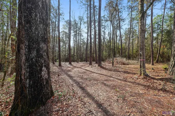 $75,000 | 66042 Highway 1058, Roseland, LA 70456