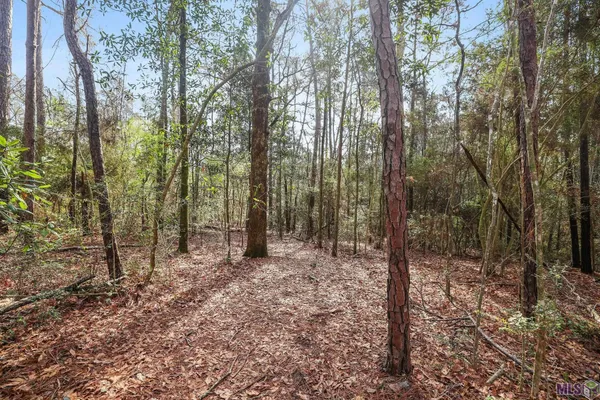 $75,000 | 66042 Highway 1058, Roseland, LA 70456