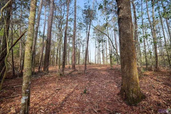 $75,000 | 66042 Highway 1058, Roseland, LA 70456