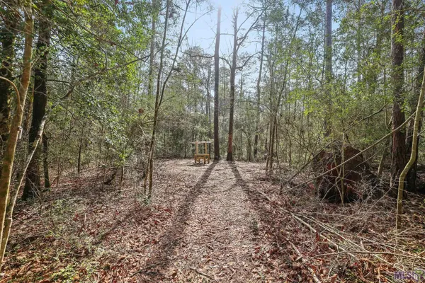 $75,000 | 66042 Highway 1058, Roseland, LA 70456