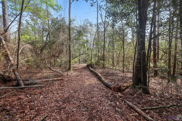 $75,000 | 66042 Highway 1058, Roseland, LA 70456