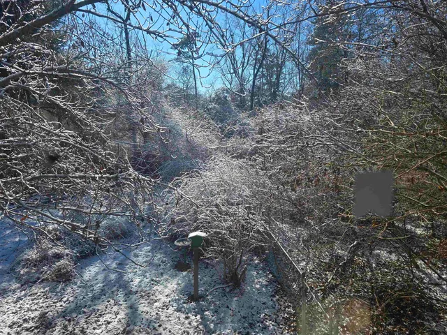 $399,000 | 81 Holly Glen Lane, South Dennis, NJ 08210