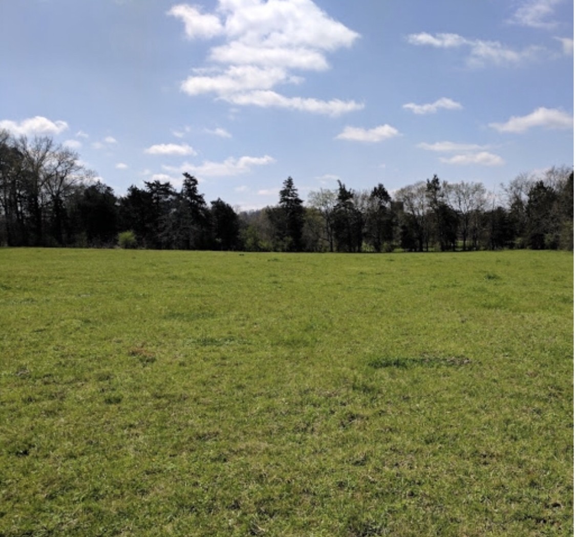 478 Pepper Hill Road Bell Buckle, TN 37020 - Photo 1 of 5 a view of grassy field with trees