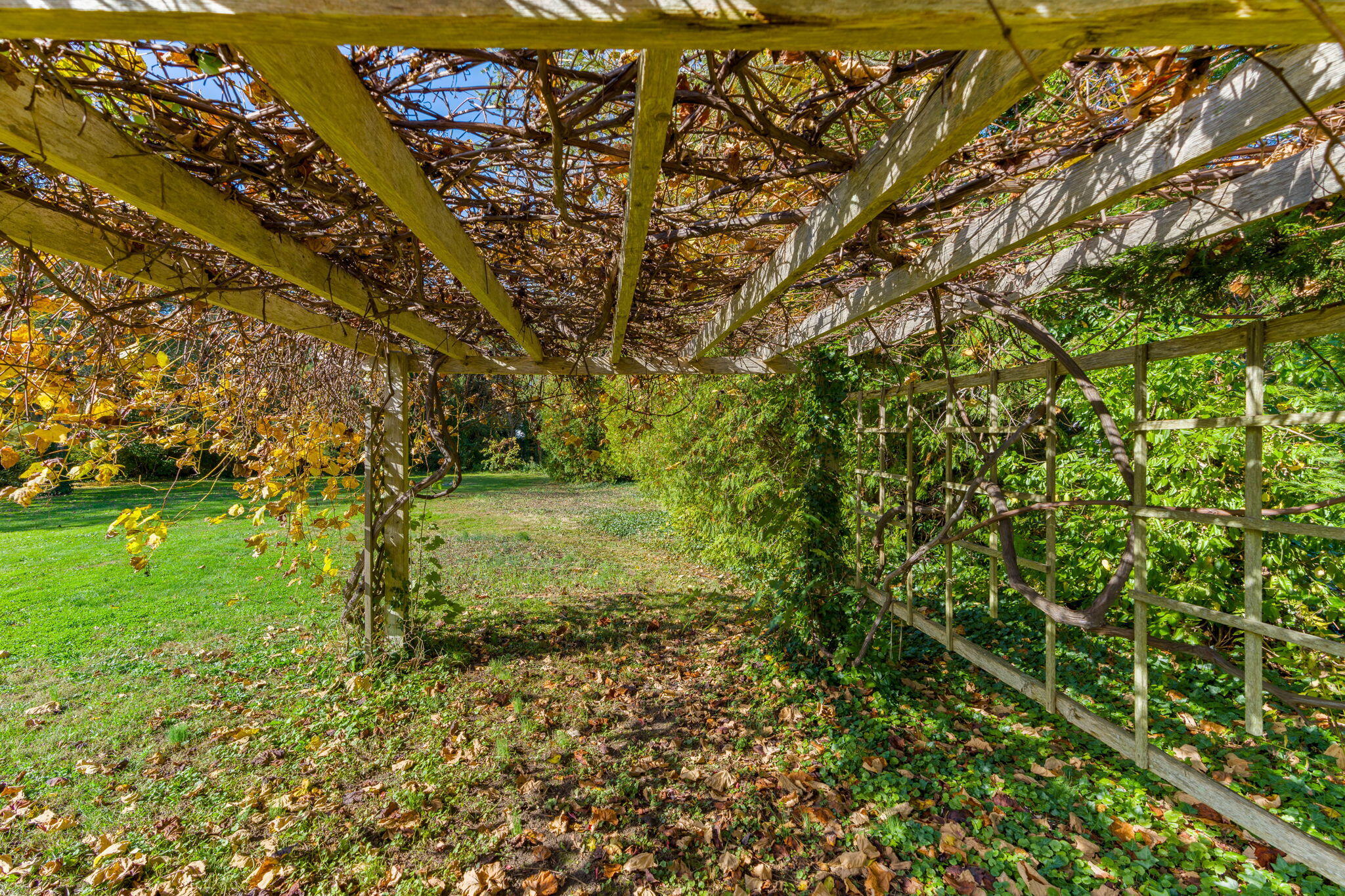 1208 County Road Cataumet, MA 02534 - Photo 30 of 40 a view of a yard with large trees