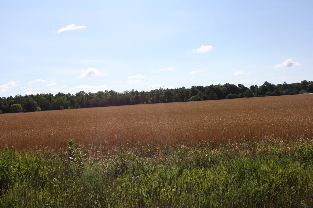 0 Bluff Ledge Road Sturgeon Bay, WI 54235 - Photo 2 of 6