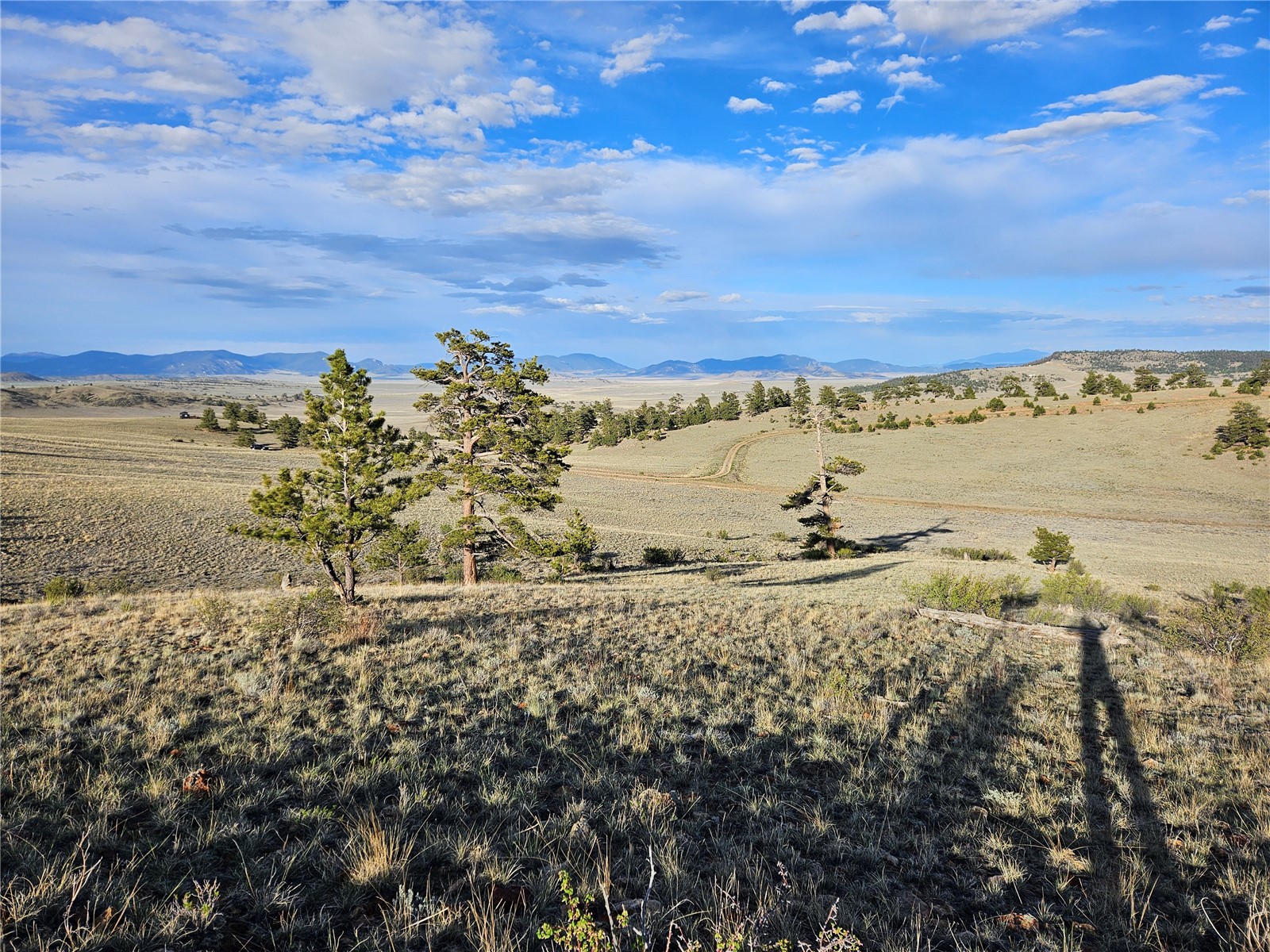 Pcs#24142 Antero Road Hartsel, CO 80449 - Photo 31 of 50