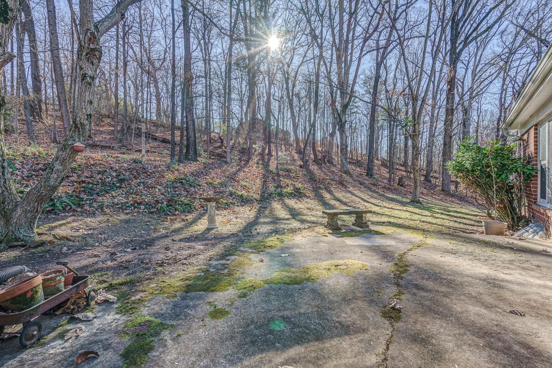 3742 Forest Road Roanoke, VA 24015 - Photo 45 of 51 042-334146-3742 Forest Rd SW 042_8449707