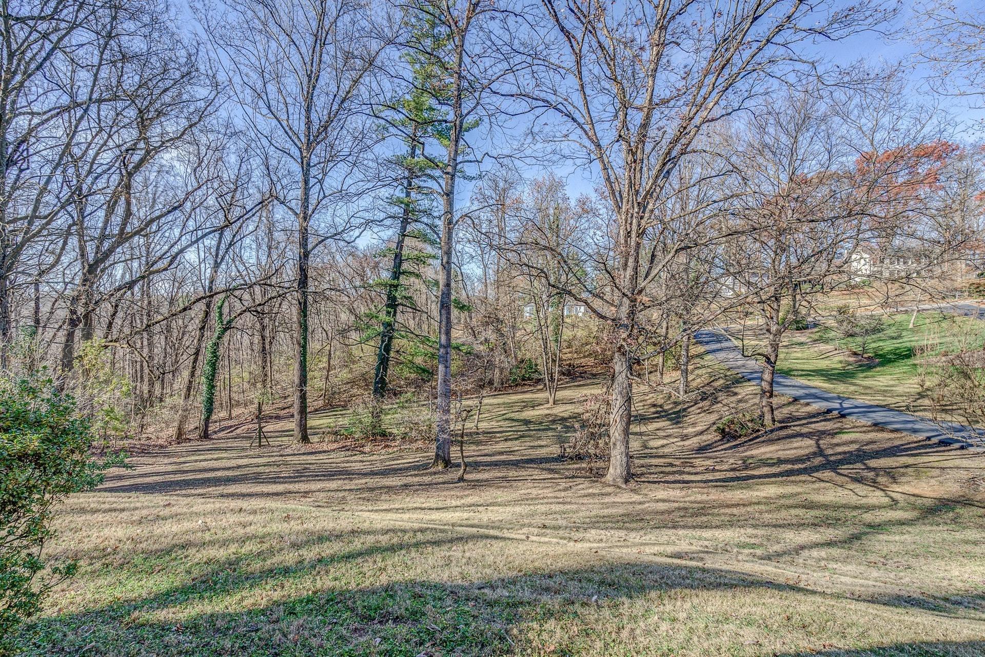 3742 Forest Road Roanoke, VA 24015 - Photo 49 of 51 046-334146-3742 Forest Rd SW 046_8449711