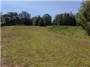 Tbd Keowee Road Honea Path, SC 29654 - Photo 8 of 10
