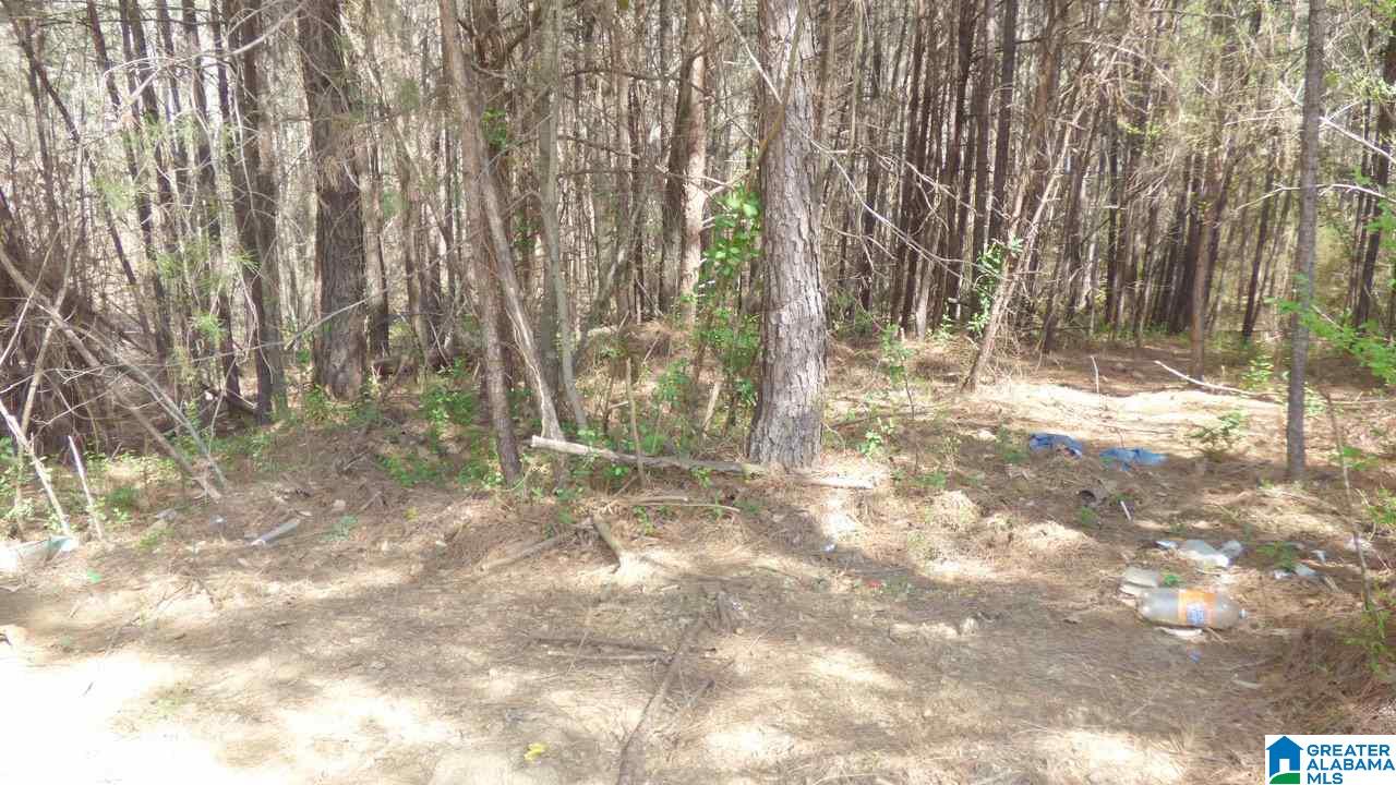 1252 Old Hayden Road Warrior, AL 35180 - Photo 5 of 5