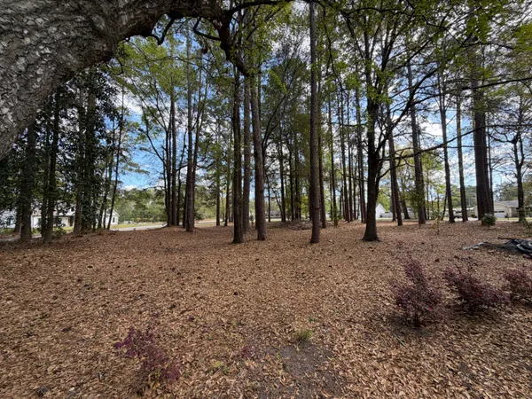 $55,000 | 0 Otis Road, Walterboro, SC 29488