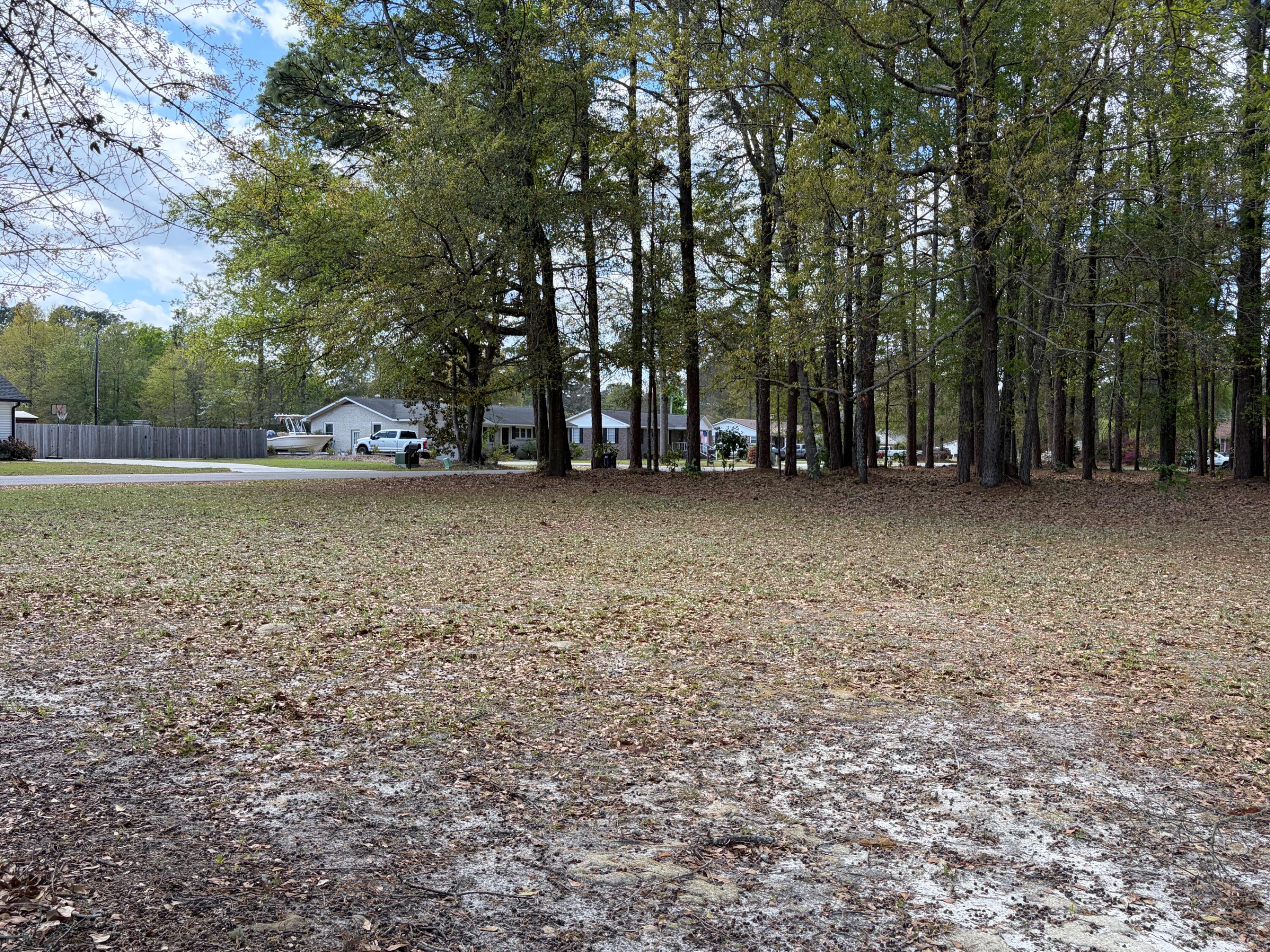 0 Otis Road Walterboro, SC 29488 - Photo 7 of 8 IMG_5977