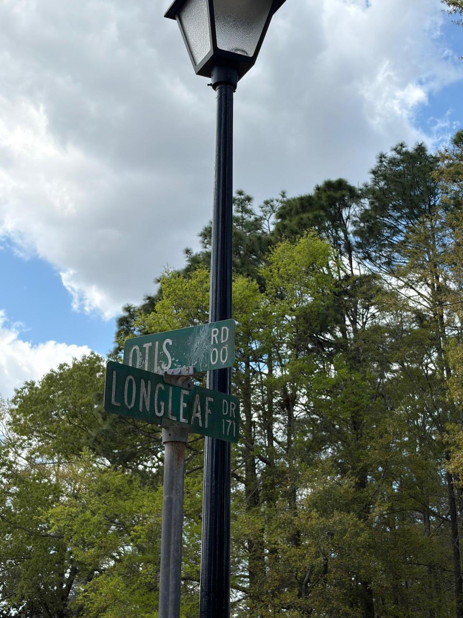 0 Otis Road Walterboro, SC 29488 - Photo 8 of 8 IMG_5980