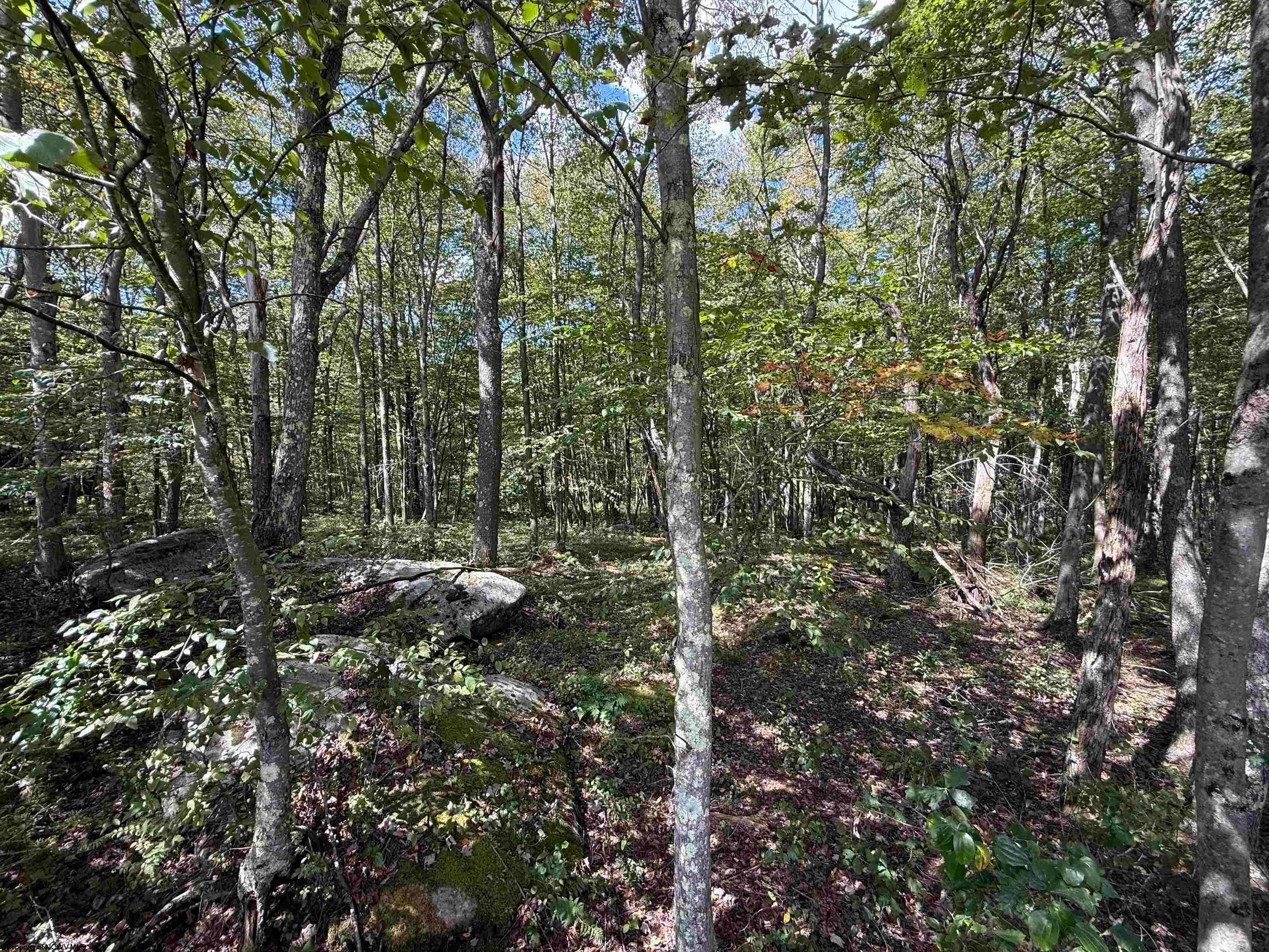 Lot 17 Spring Hill Albright, WV 26519 - Photo 17 of 24 Gallery Image 17