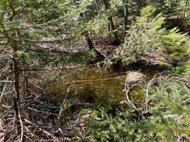 0 Map B Haven Wesley, ME 04686 - Photo 11 of 11 IMG_0042