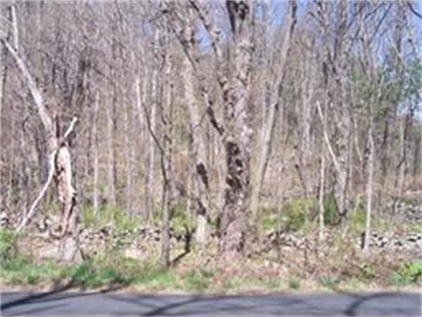 192 Boston Road Sutton, MA 01590 - Photo 1 of 1 a backyard of a house