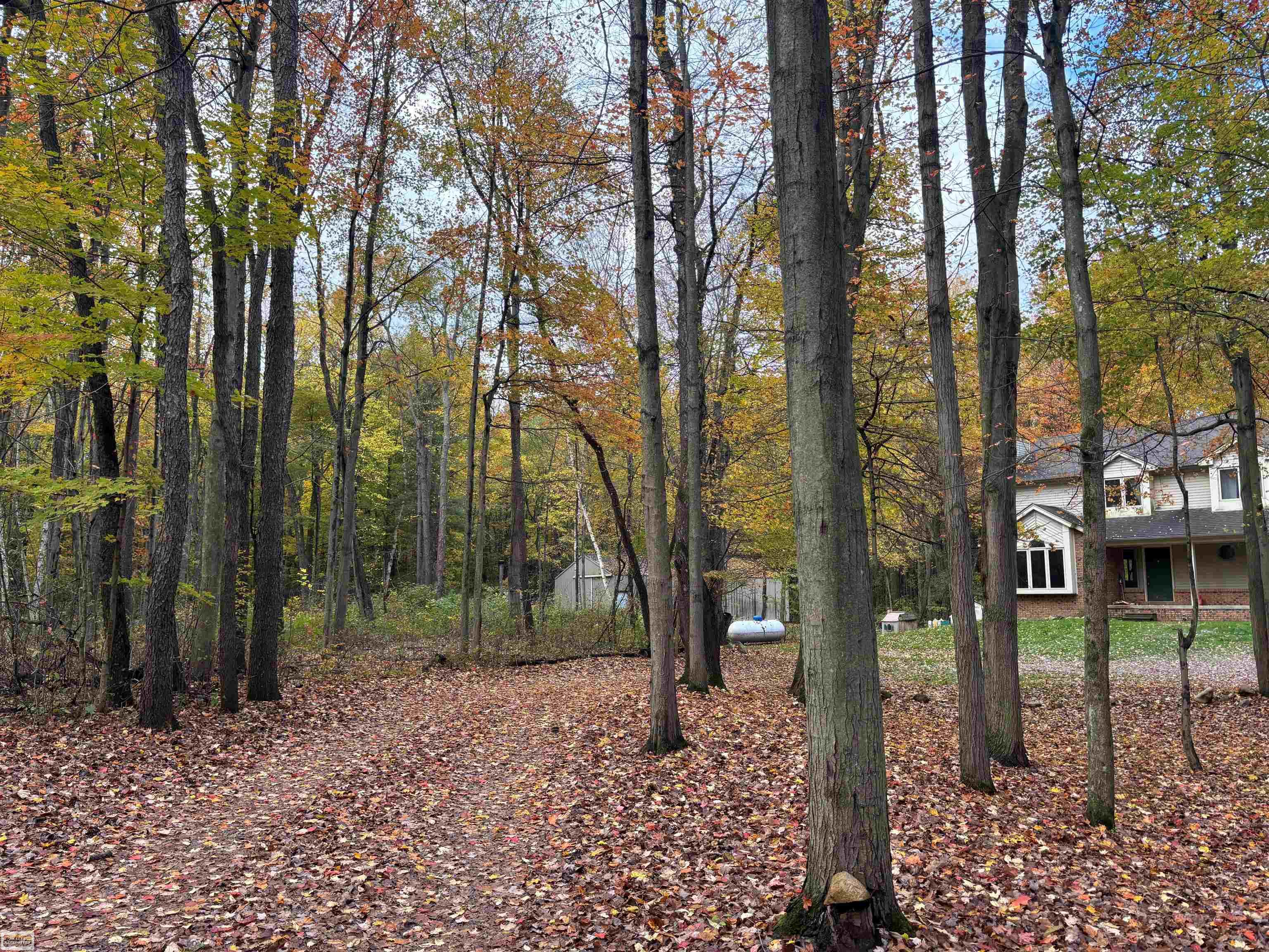 5473 Quain Road Emmett, MI 48022 - Photo 54 of 54 Gallery Image 54