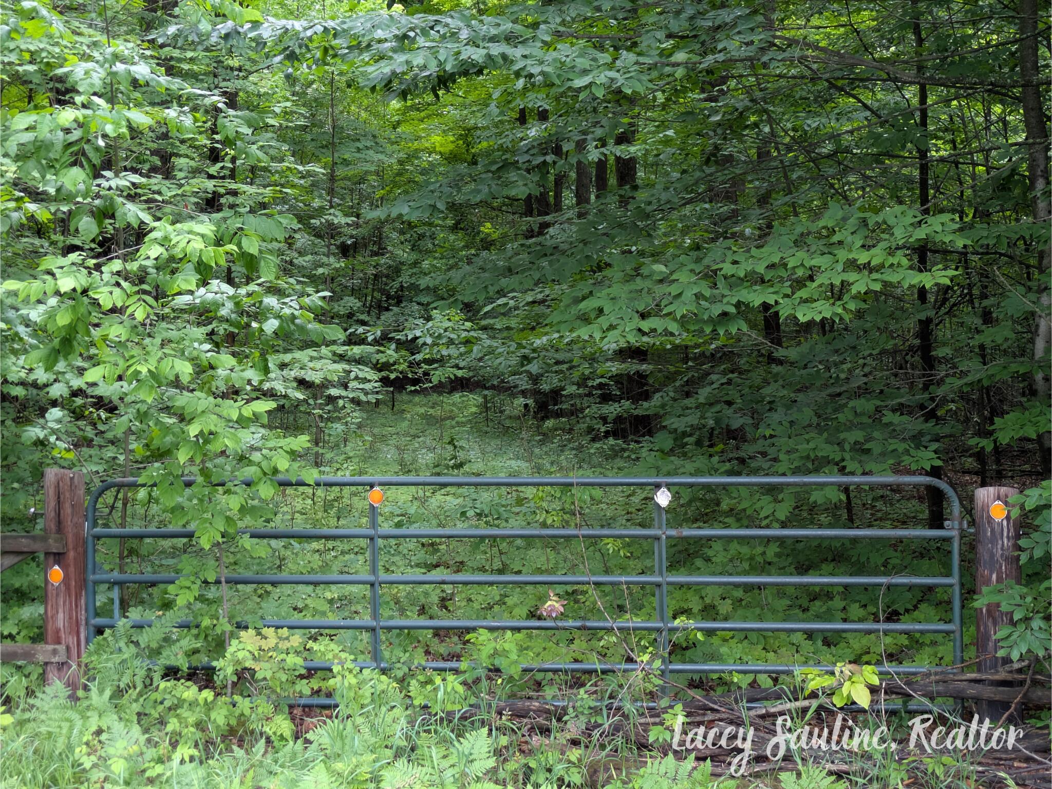 West Finkle Road Cadillac, MI 49601 - Photo 17 of 21 Lacey Sauline (6)
