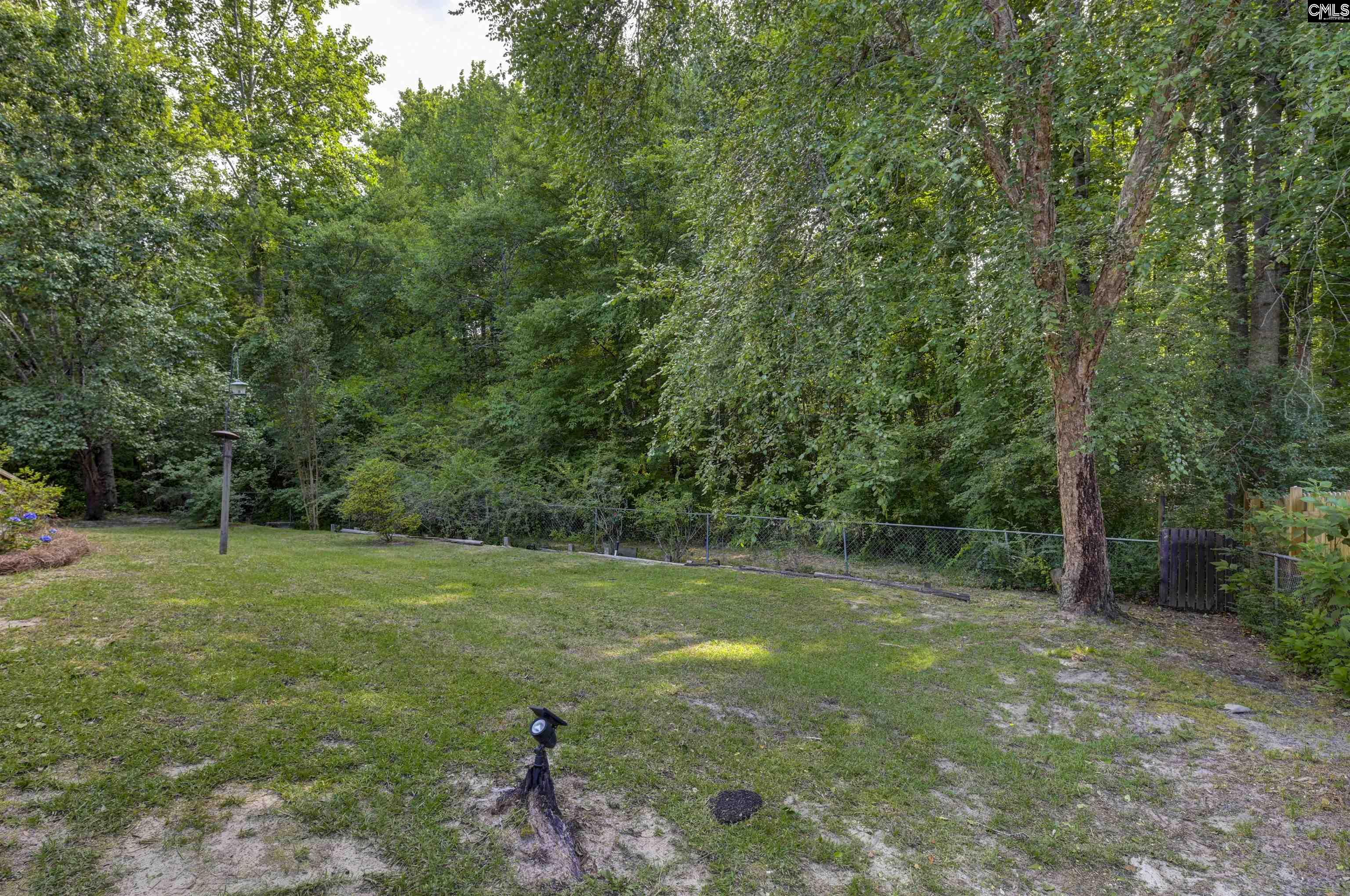 222 Red Leaf Court Lexington, SC 29073 - Photo 23 of 28