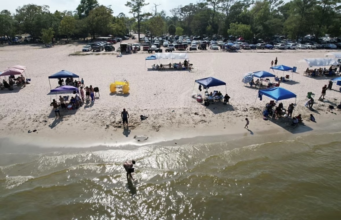 0 Guinn Avenue Houston, TX 77044 - Photo 7 of 8 a view of a lake with a car parked car