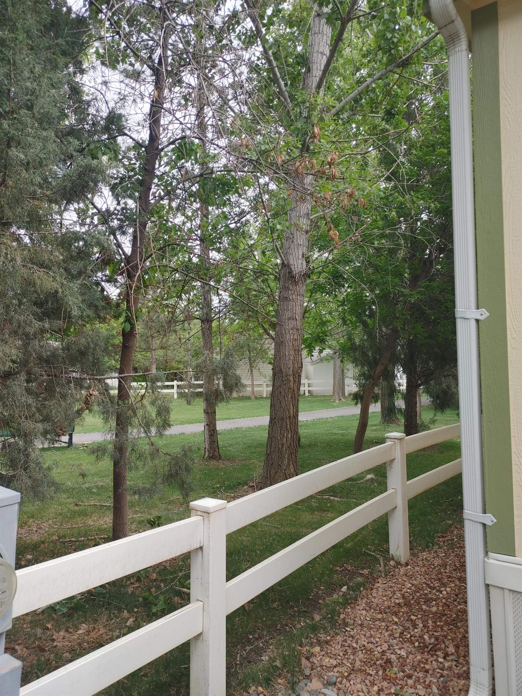 435 32 Road, Unit 252 Clifton, CO 81520 - Photo 22 of 27 a view of a yard with wooden fence