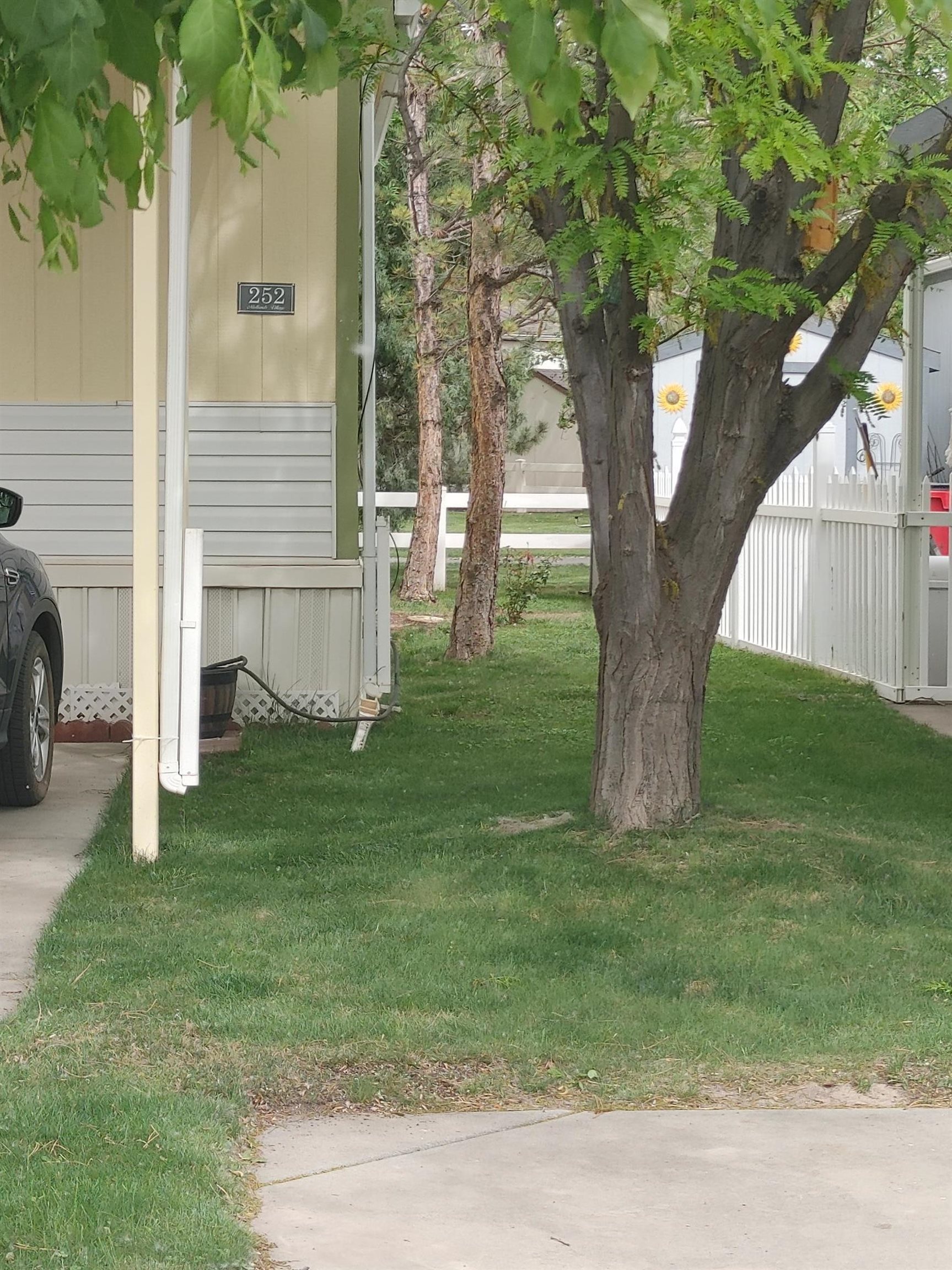 435 32 Road, Unit 252 Clifton, CO 81520 - Photo 25 of 27 a view of a yard in front of a house with a large tree