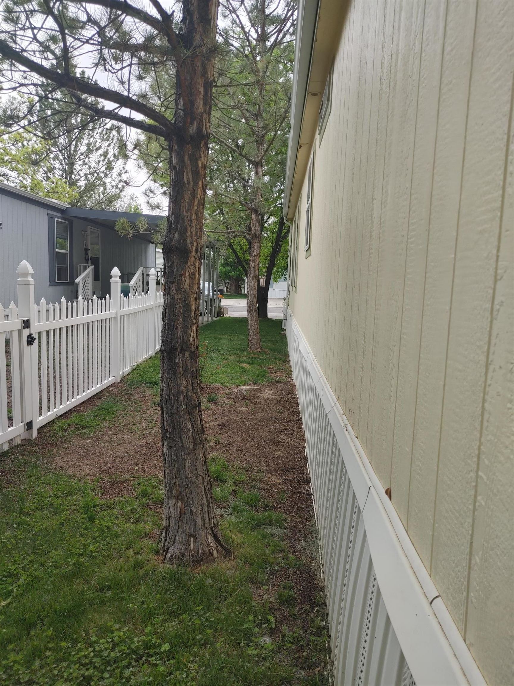 435 32 Road, Unit 252 Clifton, CO 81520 - Photo 26 of 27 a view of a house with backyard and trees