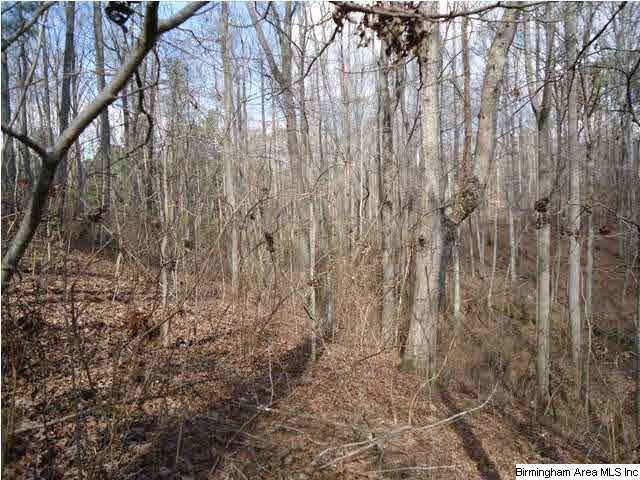 Loop Road Steele, AL 35987 - Photo 16 of 17
