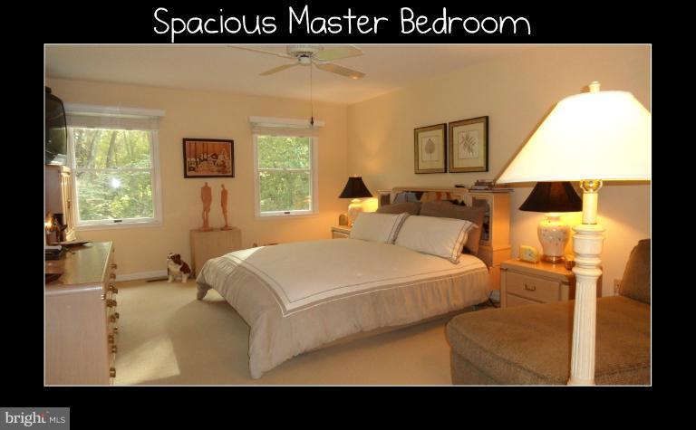 3838 Harrisville Road Mount Airy, MD 21771 - Photo 7 of 29 Bedroom (Master)