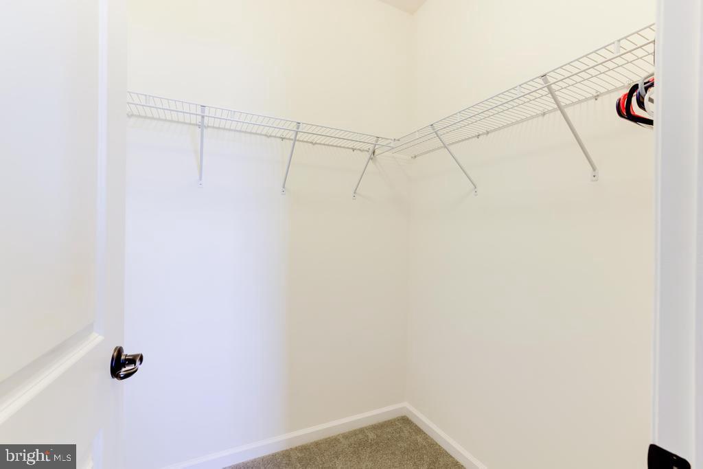 7799 Culloden Crest Lane Gainesville, VA 20155 - Photo 29 of 41 walk in closet